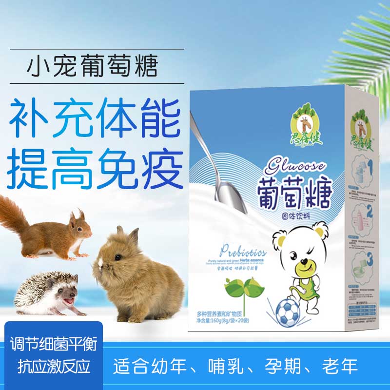 蜜袋鼯刺猬仓鼠应急包用品葡萄糖小宠物兔子龙猫幼崽营养补钙