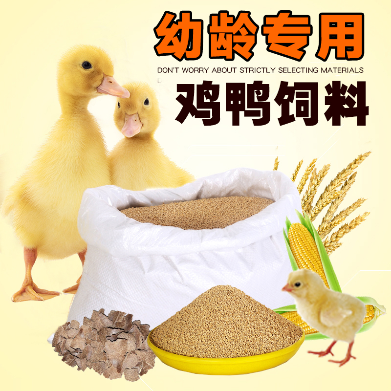 小鸭子饲料喂鸭专用宠物柯尔鸭小黄鸭子小鹅小鸡吃的粮食食物打窝