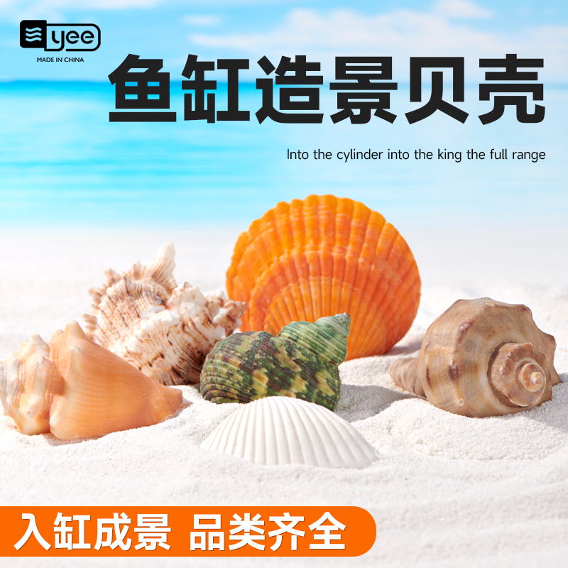 yee鱼缸造景天然海螺贝壳工艺装饰品水族箱底砂造景生态摆件海星