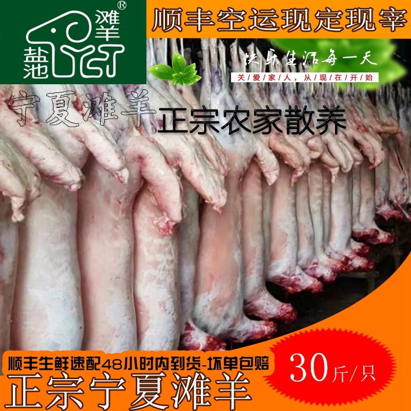 宁夏盐池滩羊30斤新鲜羔羊不带皮白条羊整只可分割半只前后腿助排
