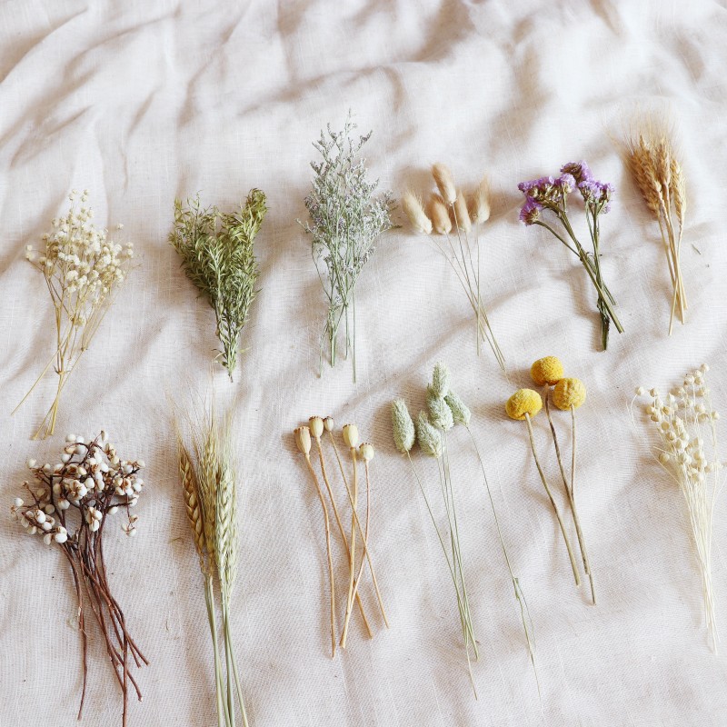 天然风干植物花卉散装DIY手工材料花环礼品包装干花小花束森系风