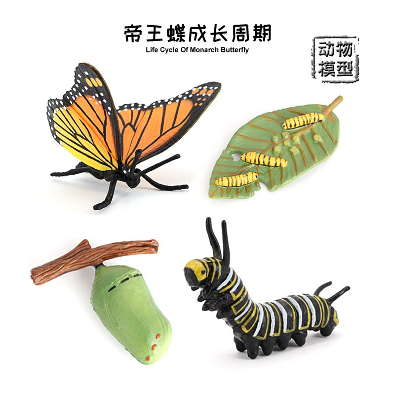 儿童玩具仿真动物模型科教益智宝宝认知昆虫蝴蝶成长周期生长摆件