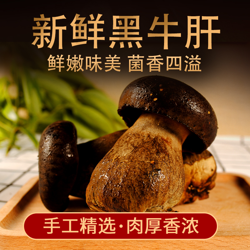 新鲜黑牛肝菌食用山珍云南省特产野生菌蘑菇500g营养煲汤食材美味