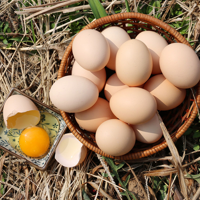 贵州务川鲜鸡蛋30枚农家鸡蛋月子蛋孕妇小孩老人早餐蛋