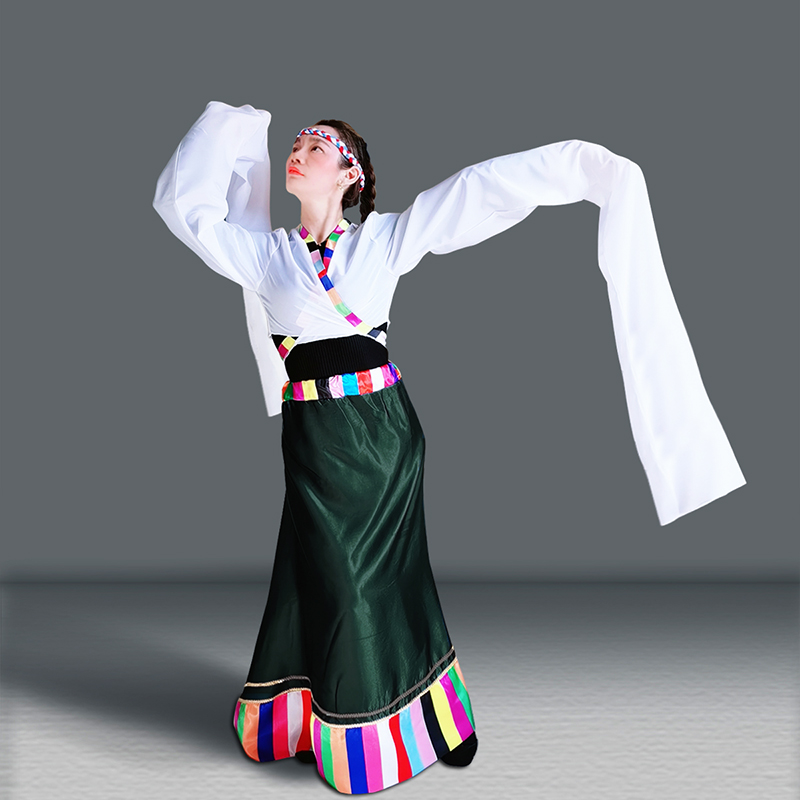 藏族水袖舞蹈服装上衣女汉唐古典舞练功服袖子演出服雪纺红色飘逸