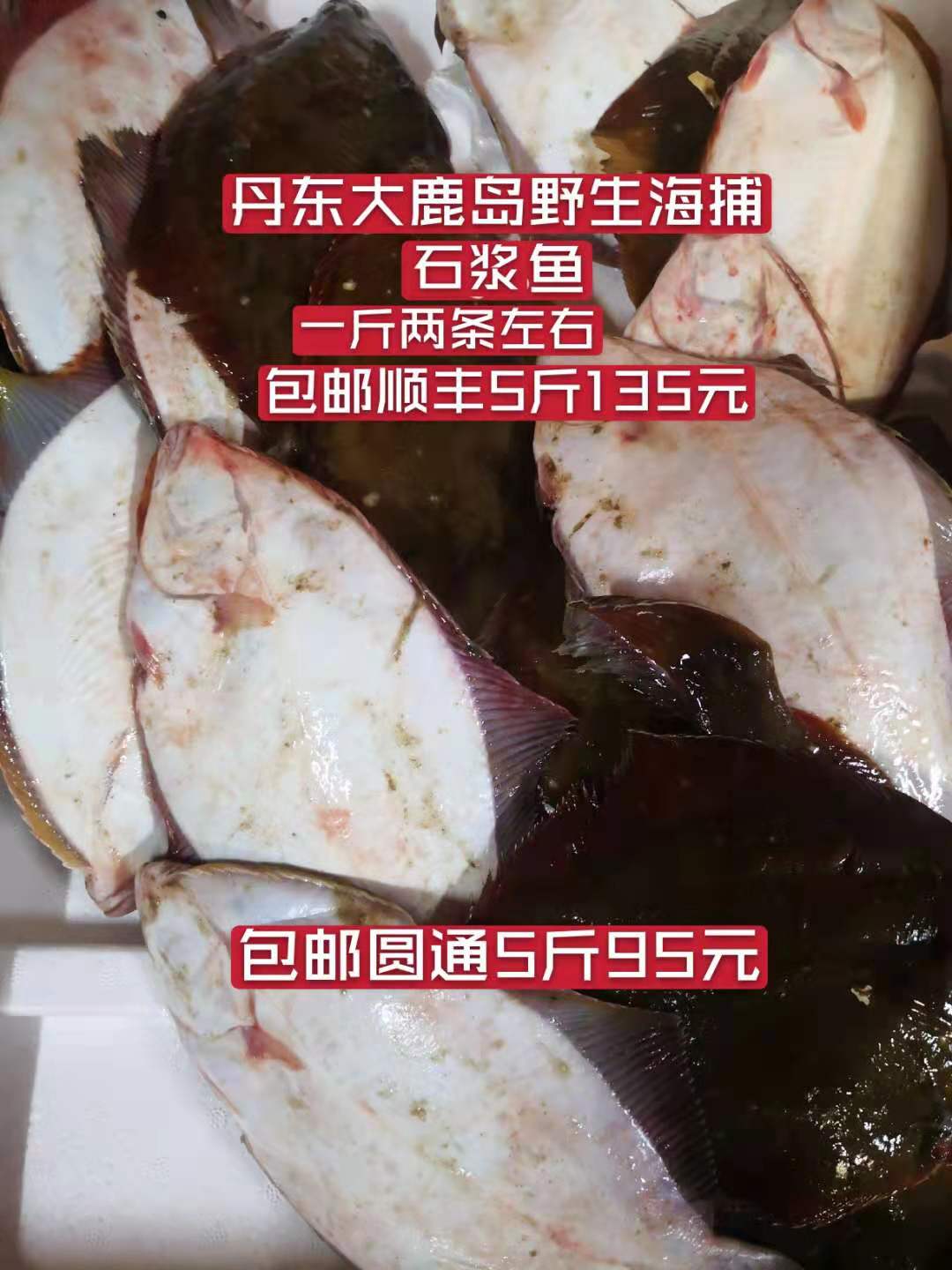 新鲜海鱼海捕偏口鱼鲜活冷冻发货丹东石将鱼鲽鱼比目鱼5斤包邮