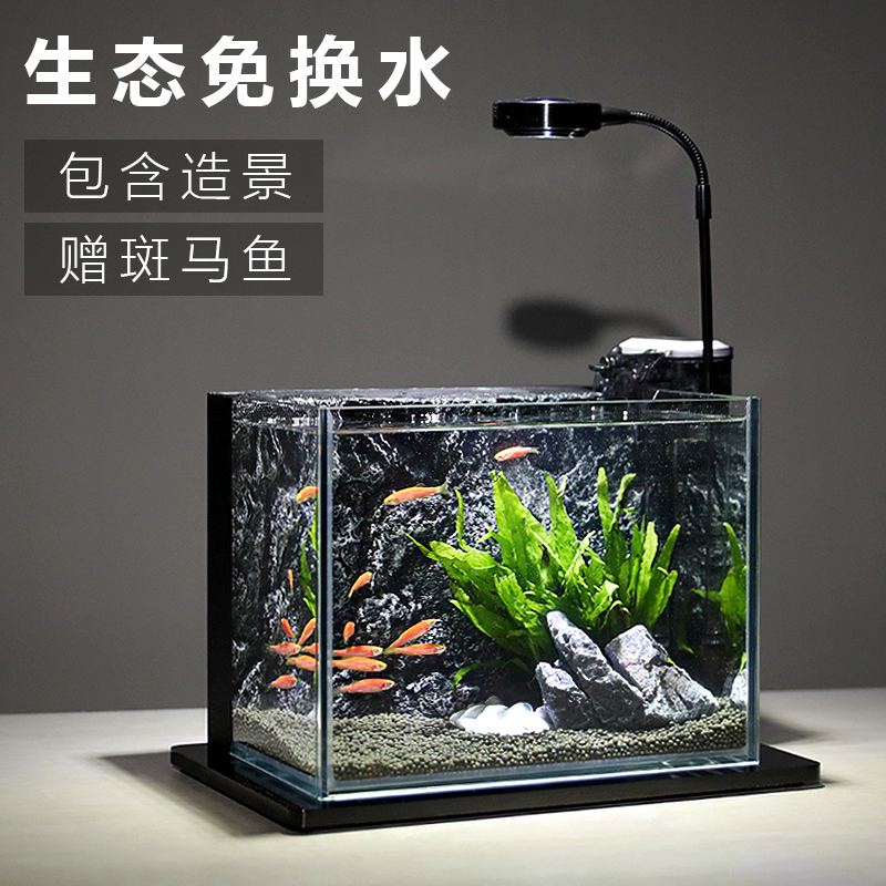 铂菲斯办公桌面创意鱼缸免换水生态微景观玻璃鱼缸造景小型水族箱