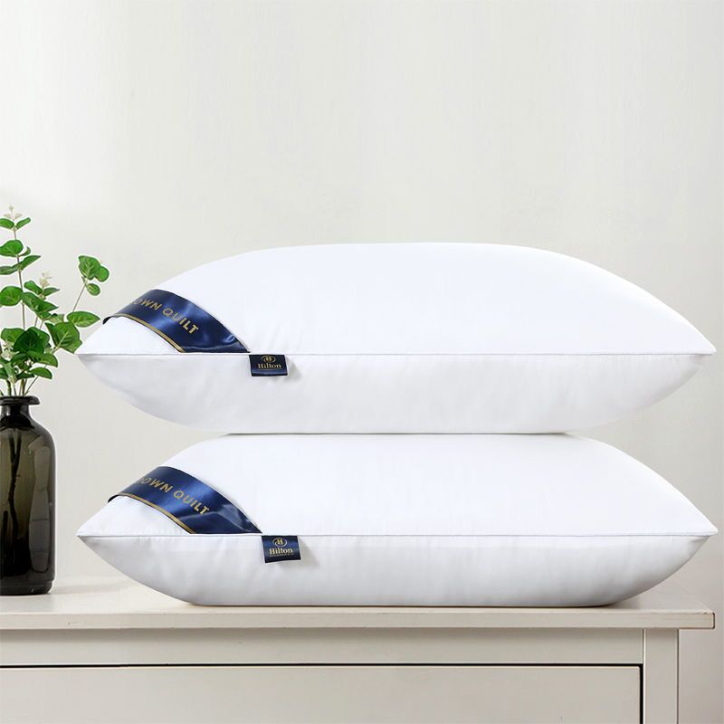酒店同款枕头一对装护颈椎枕芯带枕套家用宿舍男女可水洗软枕助眠
