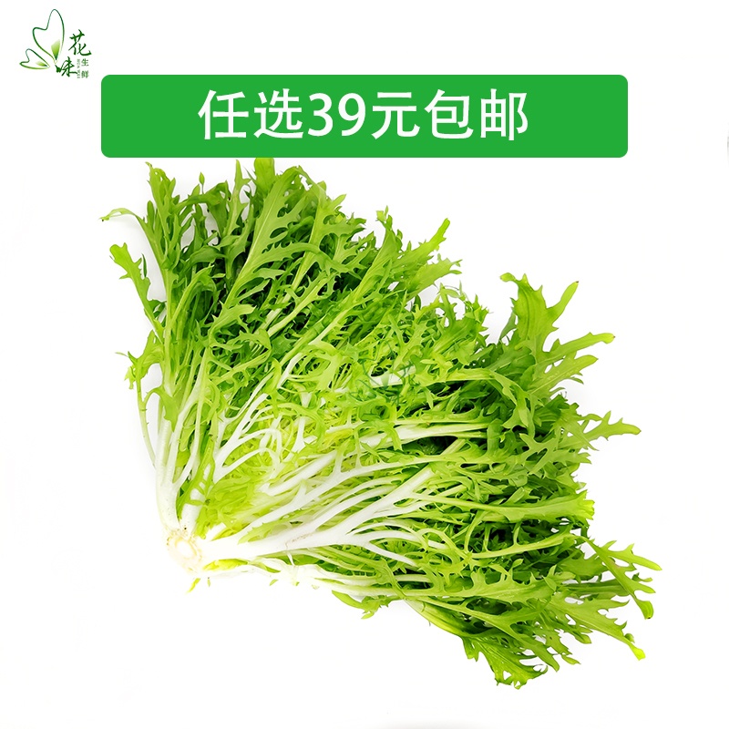 【花味鲜】新鲜苦菊 苦细叶 苦叶生菜  苦苣 蔬菜沙拉食材500g