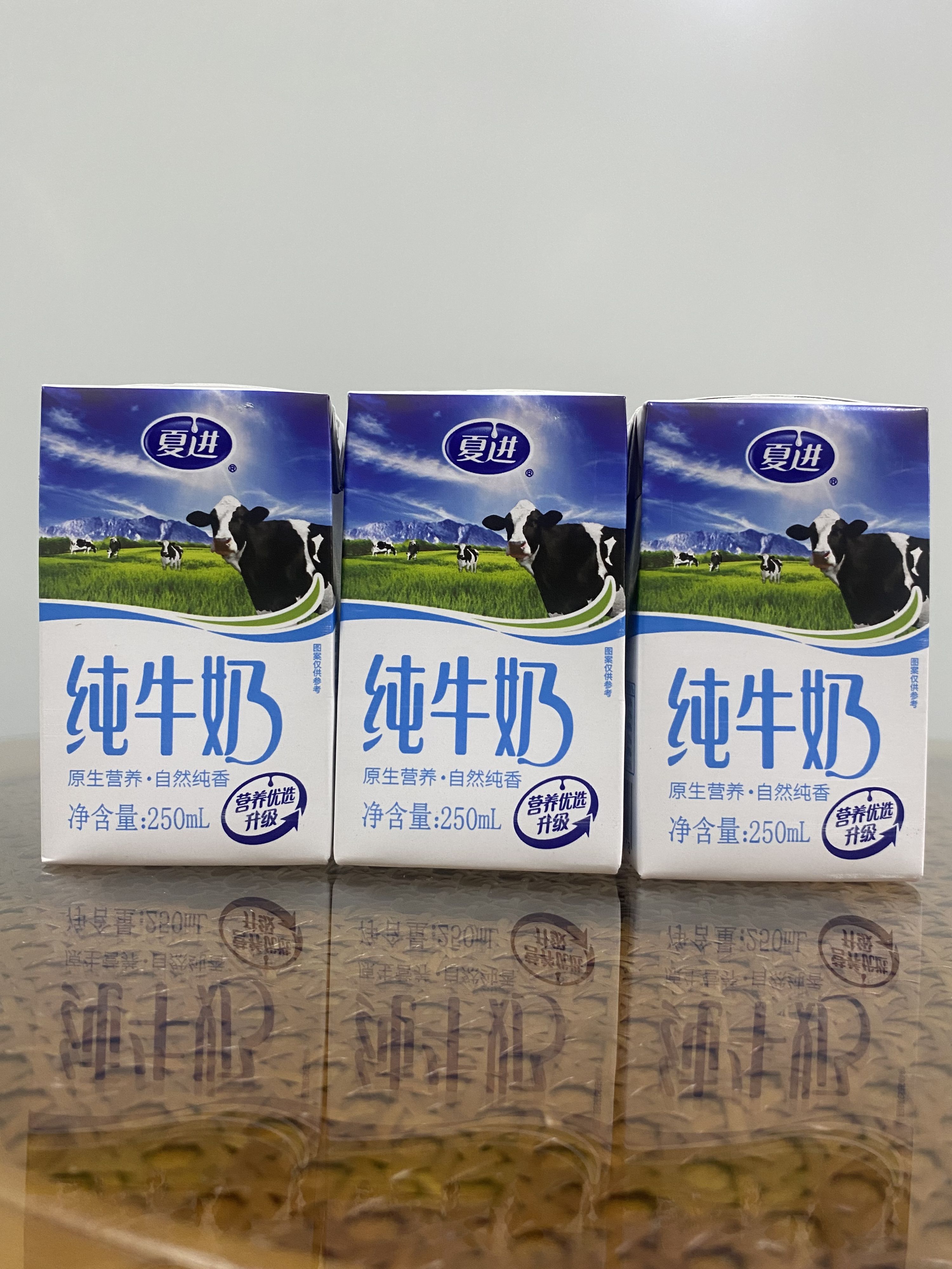 【1月】夏进纯牛奶250mL10盒学生青少年成人孕妇常温实惠散装