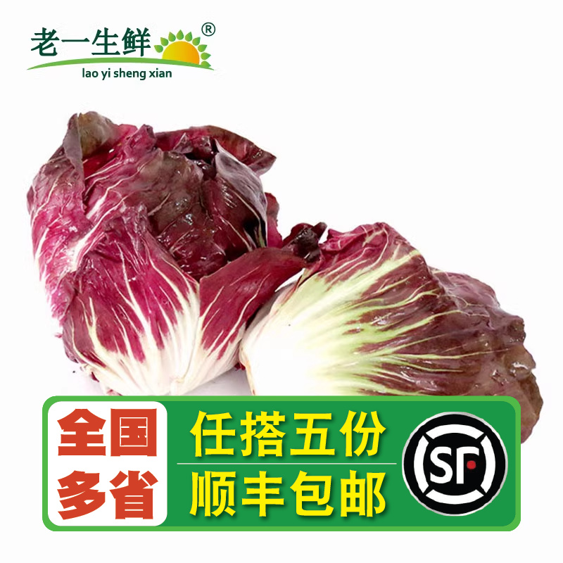 【老一生鲜】 新鲜落地球 生菜 红叶包菜 红菜落地球 红菊苣500g