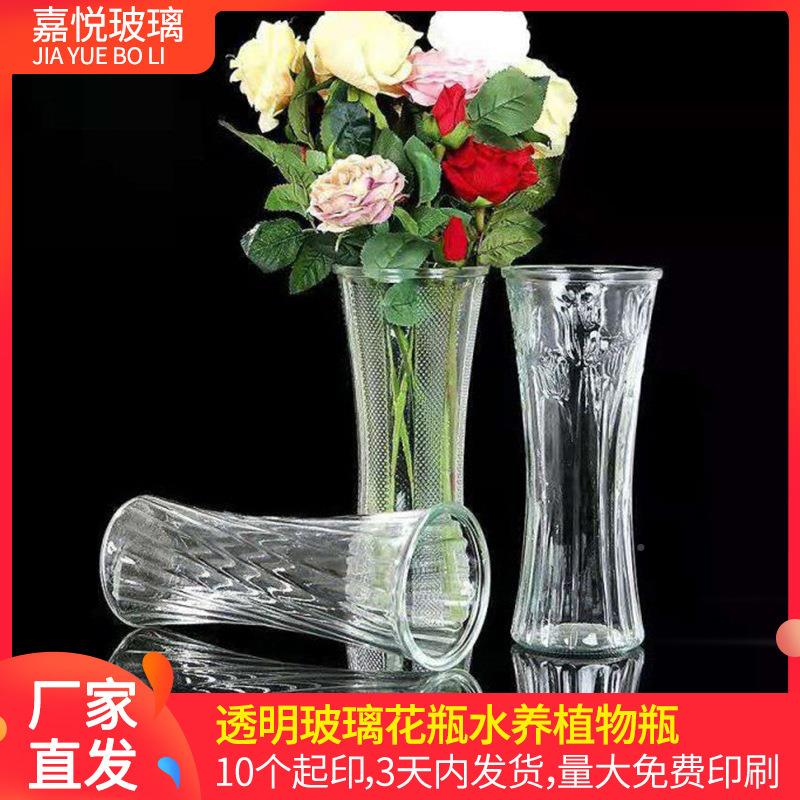 透明玻璃花瓶水培富贵竹花瓶水培家居装饰摆件水养植物瓶厂家直发