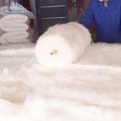新疆棉被幼儿园被子婴儿童春秋冬被芯棉花褥子棉絮棉胎床垫被定做