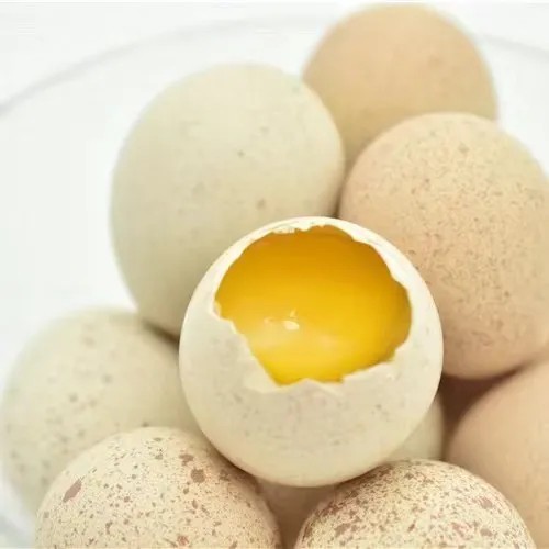新鲜食用鹧鸪蛋呱呱鸡孕妇婴儿老人营养辅食