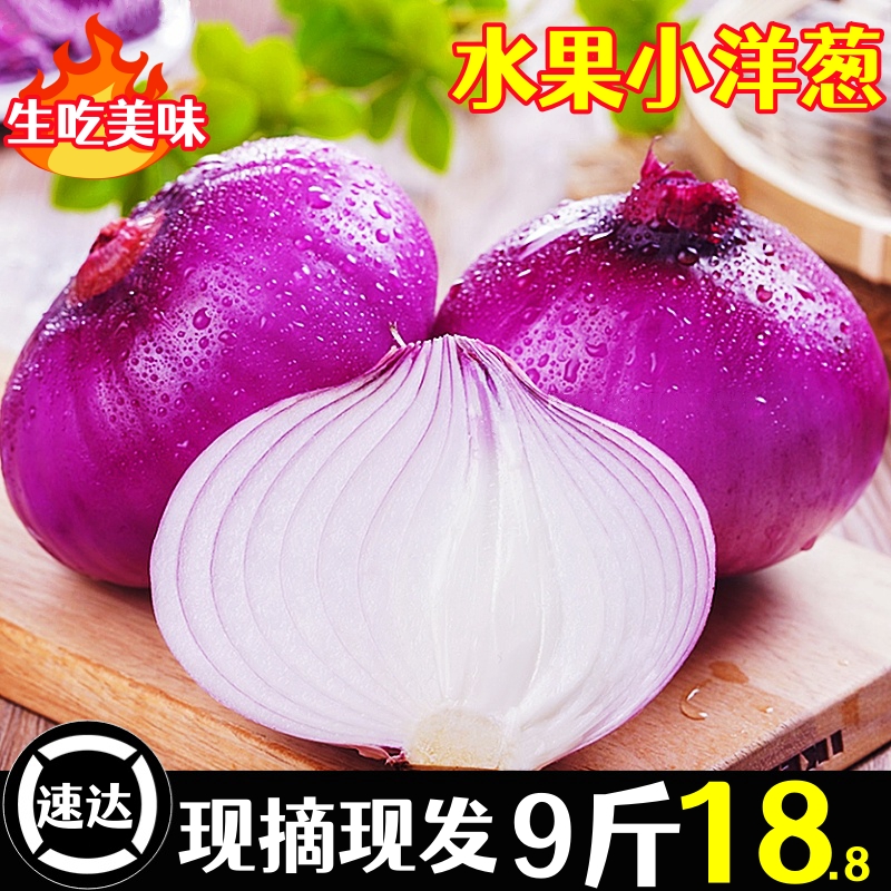 云南紫皮小洋葱10斤圆葱新鲜蔬菜农家自种甜味可以生吃紫红洋葱9