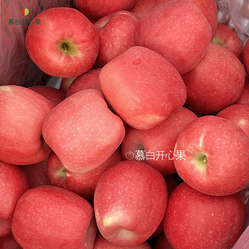 [慕白开心果] 陕西白水新品种瑞香红苹果新鲜脆甜无酸且香气浓郁