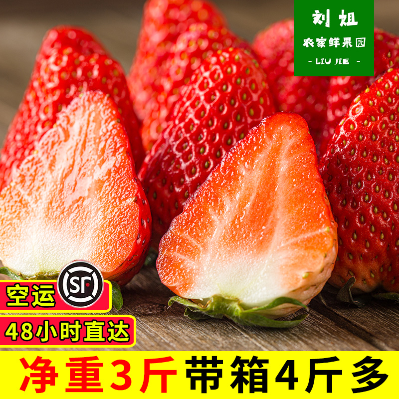红颜草莓新鲜精品奶油草莓孕妇水果当季草莓顺丰包邮同城自吃