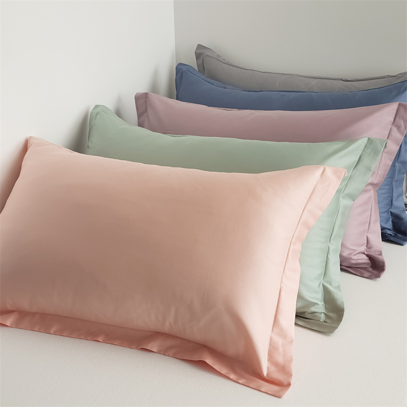 2024新款轻奢全棉100纯棉枕套一对装家用纯色枕头套高级感乳胶枕