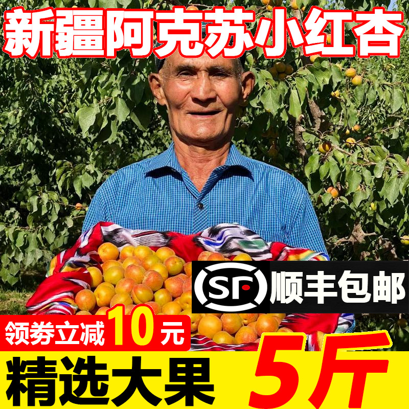 【顺丰包邮】新疆小红杏新鲜杏子水果5斤阿克苏当季吊干杏小白杏