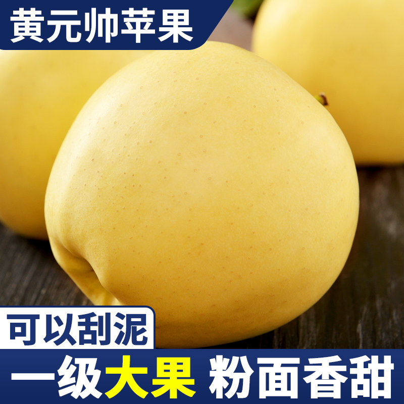 当季新鲜黄元帅苹果黄金帅苹果粉苹果水果黄蕉面黄色苹果水果新鲜