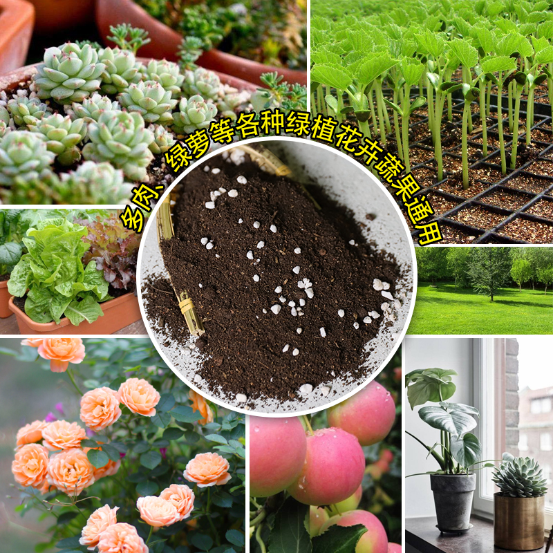 新品专用土有机营养土通用型100斤泥土种植绿萝家用多肉育苗养花