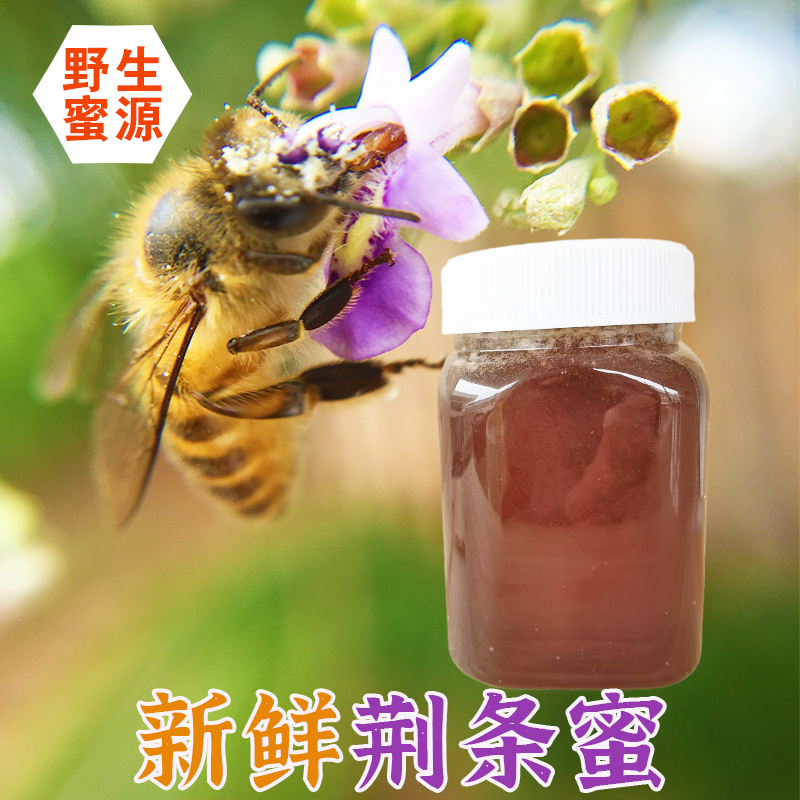 新鲜荆条蜜500g罐装天然土蜂蜜野生农家自产现取鲜蜂蜜嗡嗡蜂场