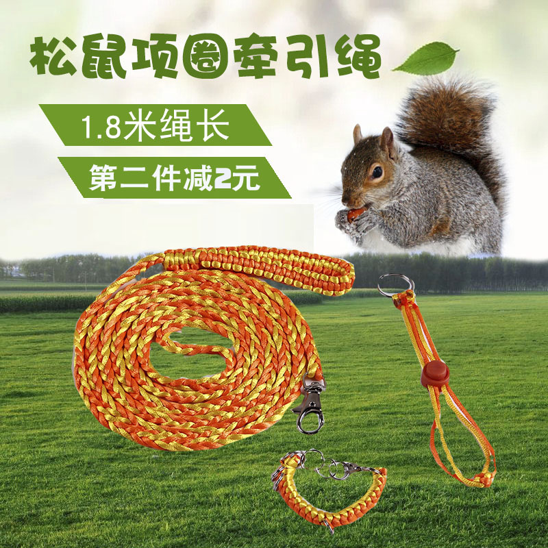 松鼠魔王牵引绳链子项圈防咬外出用品分体三件套蜜袋鼯遛鼠训练绳