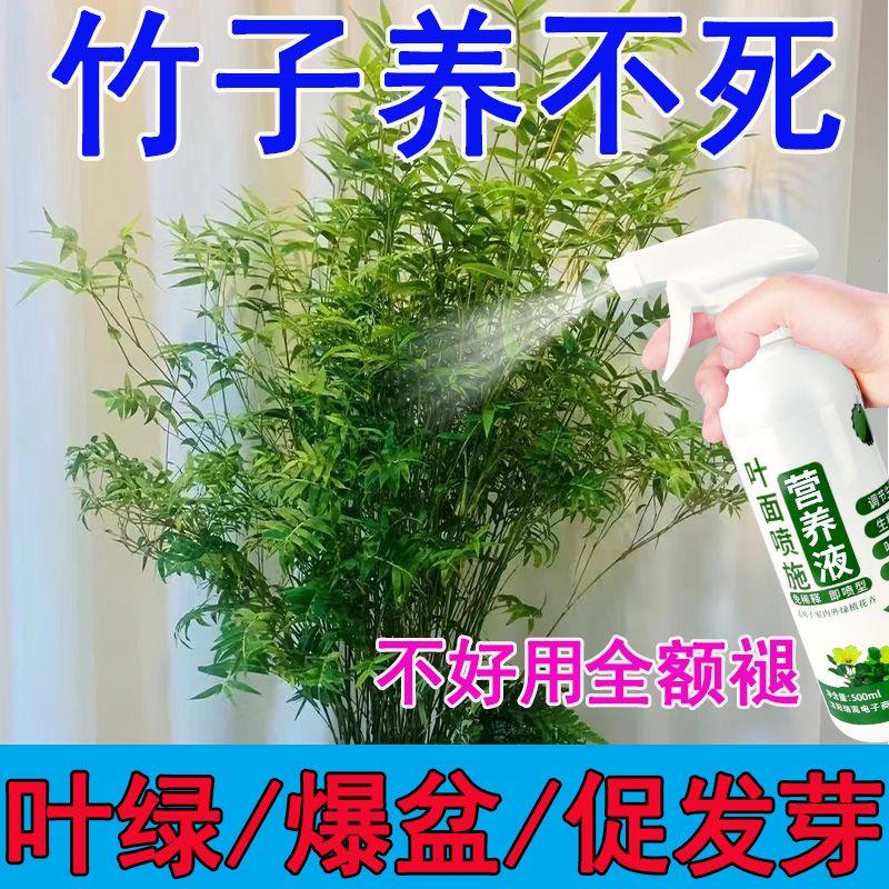 喜酸植物营养液竹子肥料专用肥红竹米竹黄叶干尖水培土培植促生长