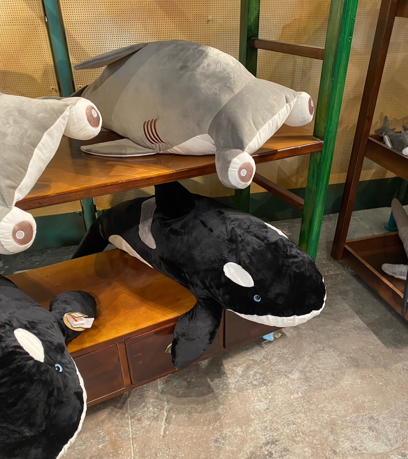 长隆宇宙飞船乐园纪念品大号仿真虎鲸锤头鲨毛绒公仔抱枕玩具礼物