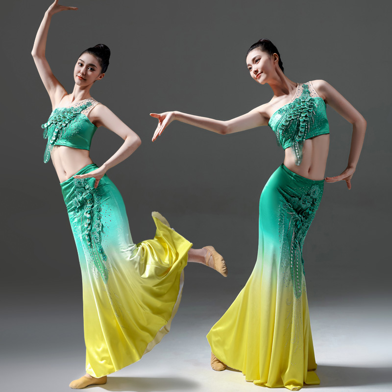 2新款傣族舞蹈服女表演服修身舞蹈裙孔雀舞鱼尾裙艺考服演出服