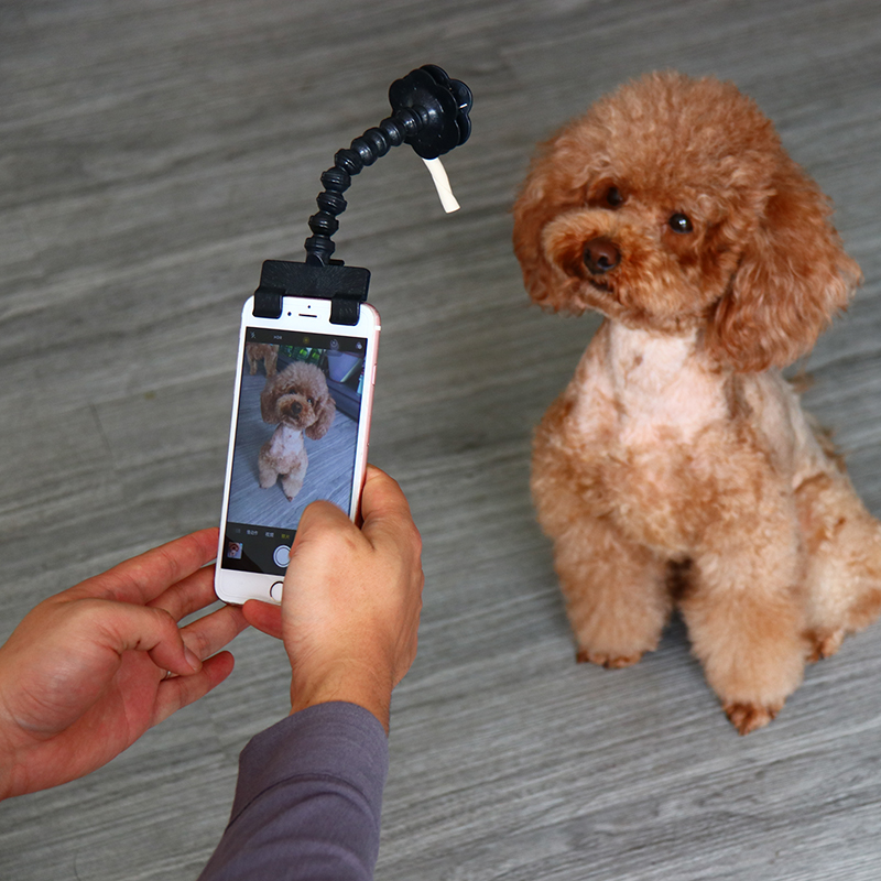 宠物拍照神器猫咪狗狗看镜头泰迪用品逗趣玩具手机相机支架自拍夹