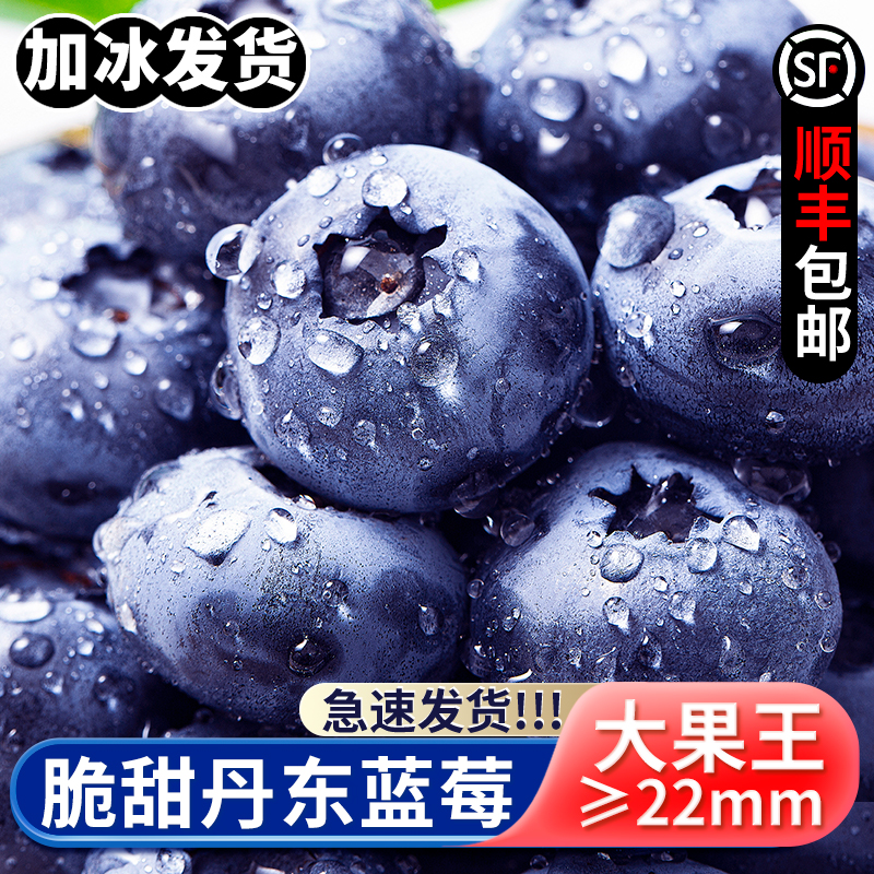 丹东宝宝蓝莓新鲜超大果新鲜采摘蓝莓鲜果22mm4盒