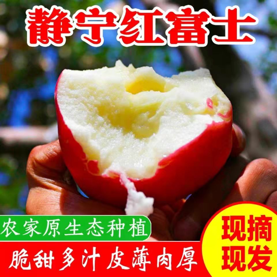 正宗甘肃静宁精品红富士苹果水果新鲜脆甜糖心整箱丑苹果应季特产