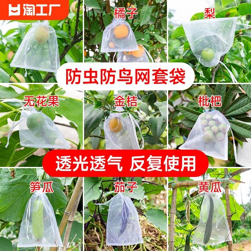 水果套袋防鸟网纱袋透气瓜果防虫袋果树无花果葡萄桃子草莓保护袋