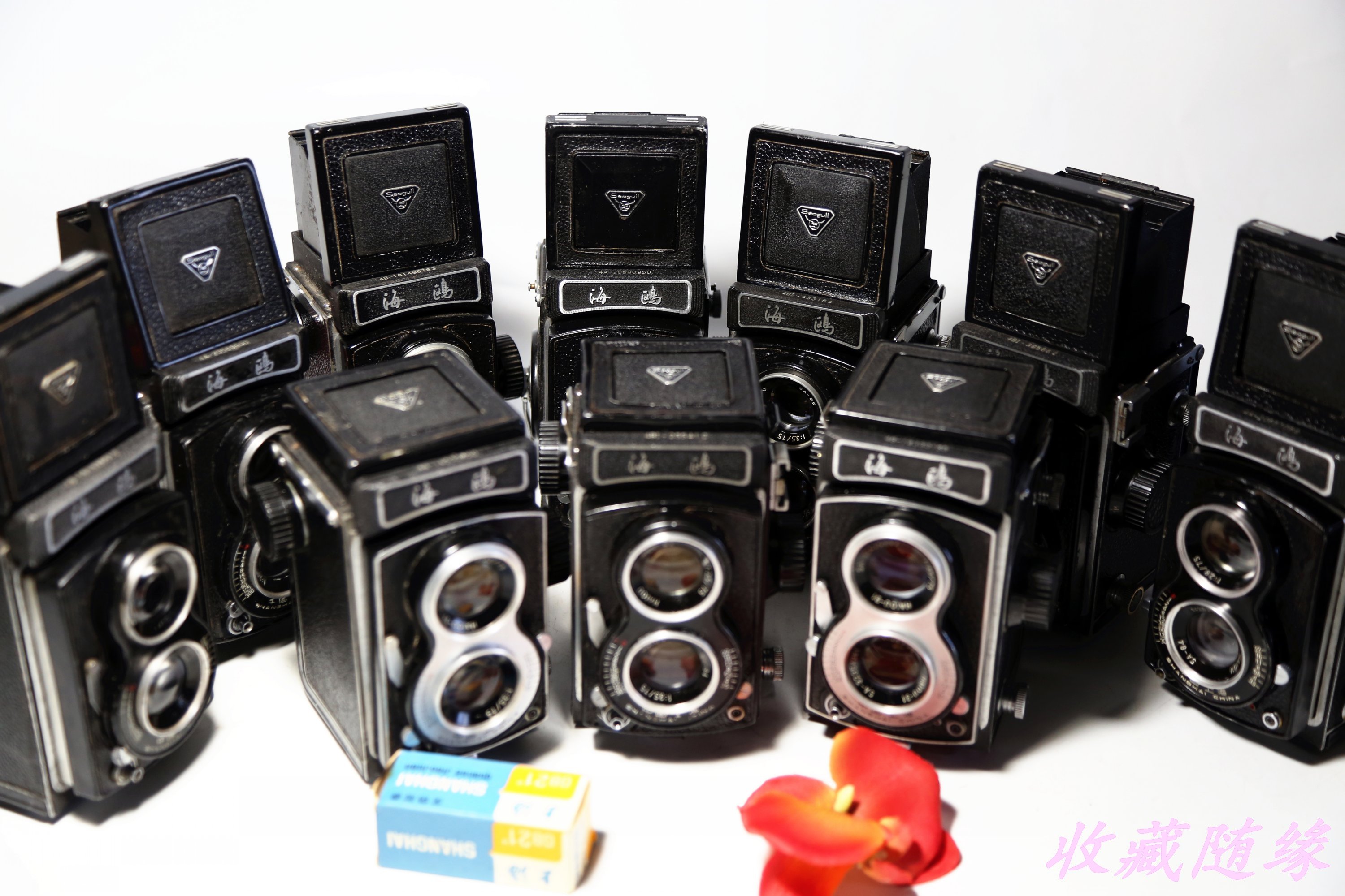 海鸥120相机4A4a4b4B胶卷胶片机械相机双反相机120相机功能正常