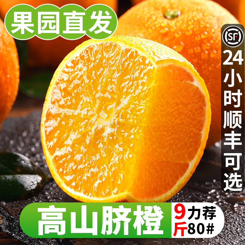 高山脐橙5斤香橙当季榨汁薄皮橙子新鲜手剥橙整箱甜橙水果包邮10