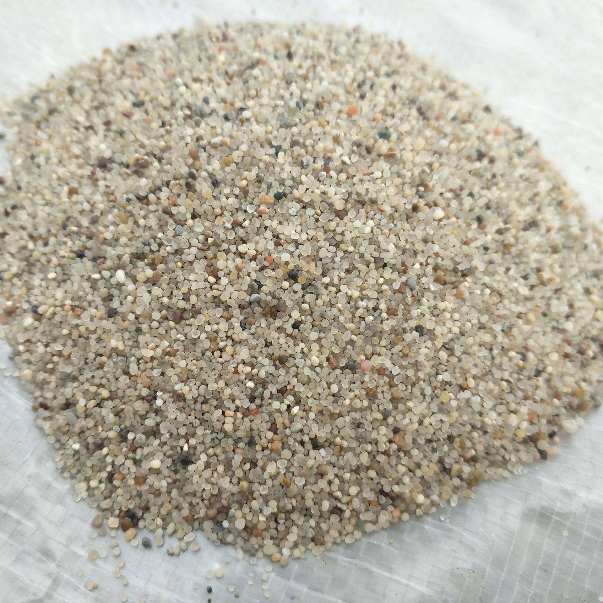 爬宠用品大全营养椰土饲料天然细沙钙粉保湿苔藓白玉蜗牛宠物
