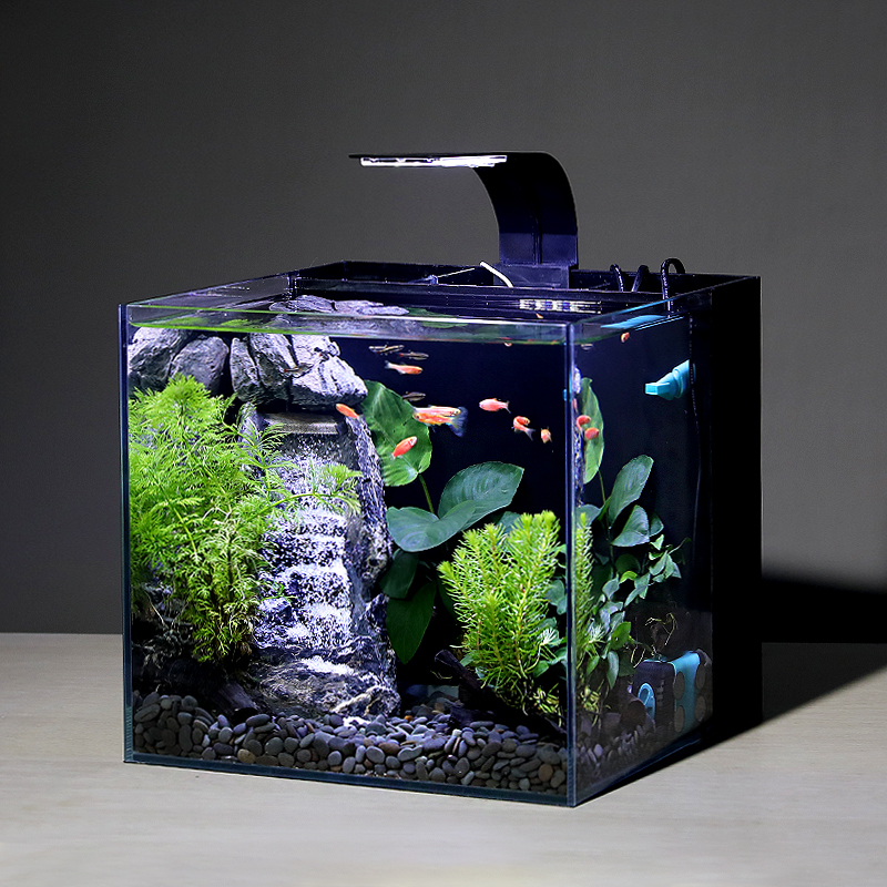 铂菲斯生态水族箱鱼缸自循环流水免换水时尚创意家庭客厅懒人玻璃