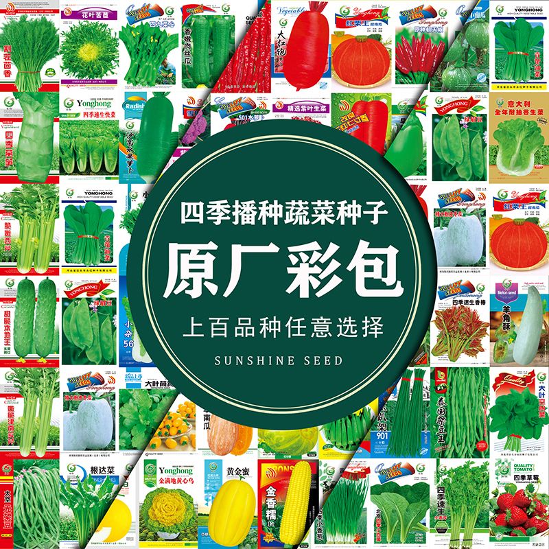 四季蔬菜种子大全室内外农家阳台庭院播种香菜生菜草莓辣椒菜种子