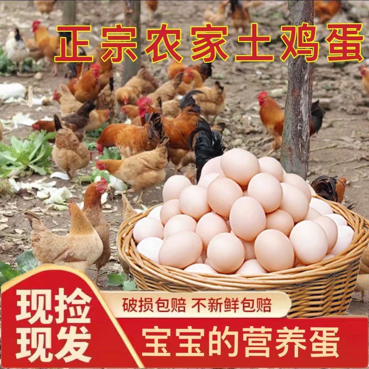 土鸡蛋农家正宗散养鸡蛋新鲜包邮价乡村五谷喂养正宗柴鸡蛋月子蛋