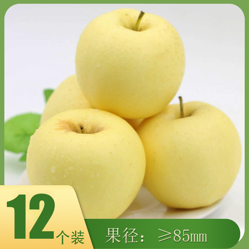 【雪原苹果】当季新果黄金帅85#大果-12个装新鲜水果黄蕉奶油苹果