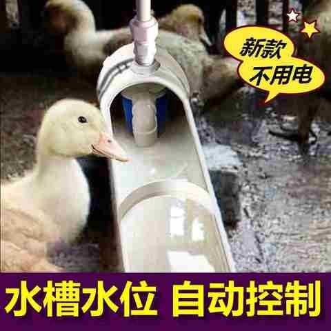 新款鸡鸭鹅家禽自动饮水器喂水器鸭子喝水饮水槽牛羊养殖设备用x2