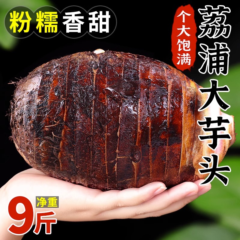广西新鲜大芋头9斤农家特产紫藤毛芋头香芋槟榔芋蔬菜包邮