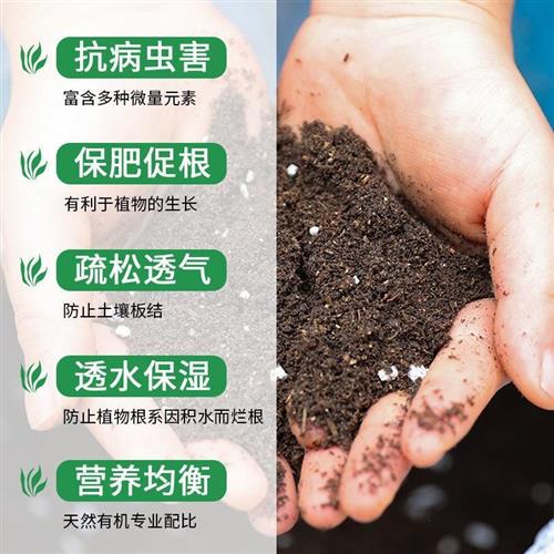 养花花土土壤营养土有机种菜专用家用盆栽种植土40斤大包