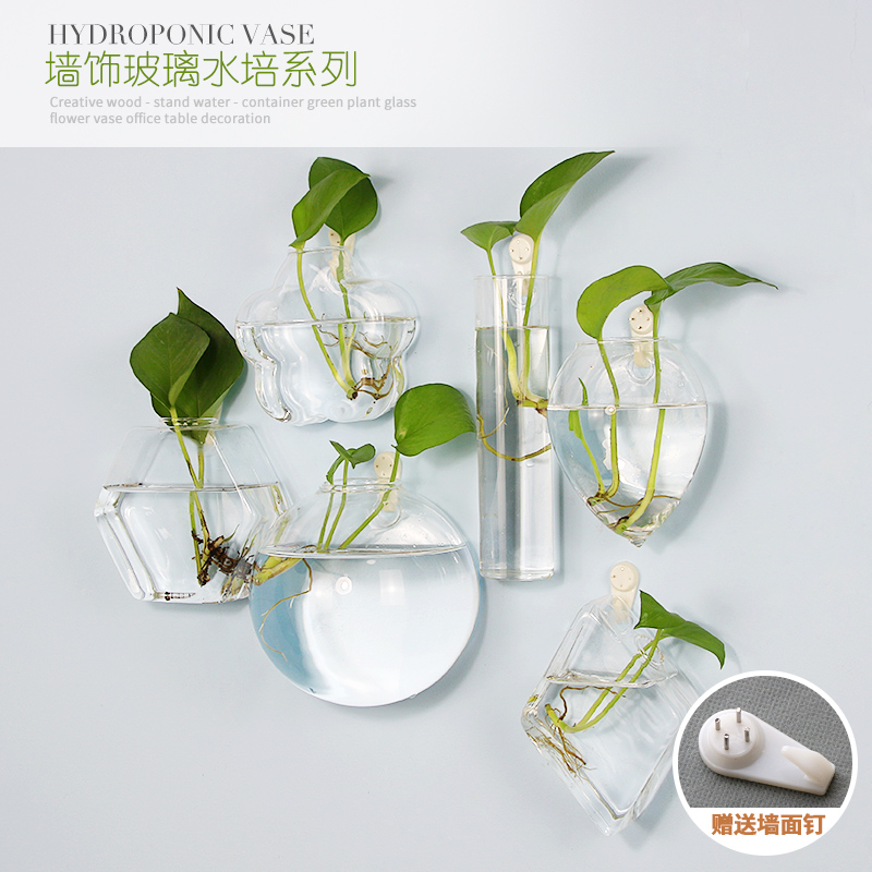 水培器皿可挂花瓶玻璃透明创意绿萝植物容器清新简约客厅墙上装饰
