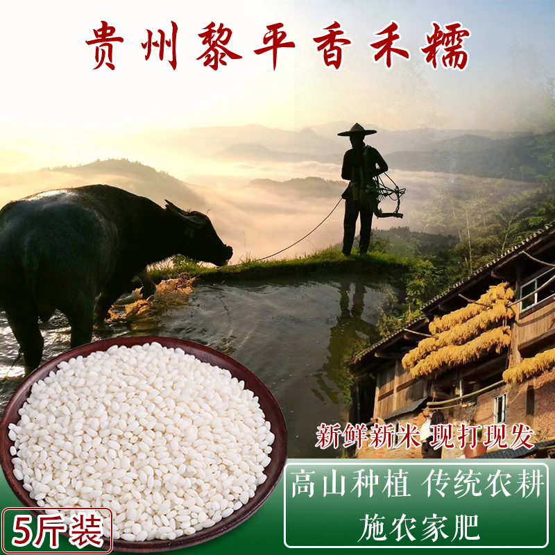 2023年新米黎平香禾糯贵州高山梯田老品种新糯米优质香糯米5斤