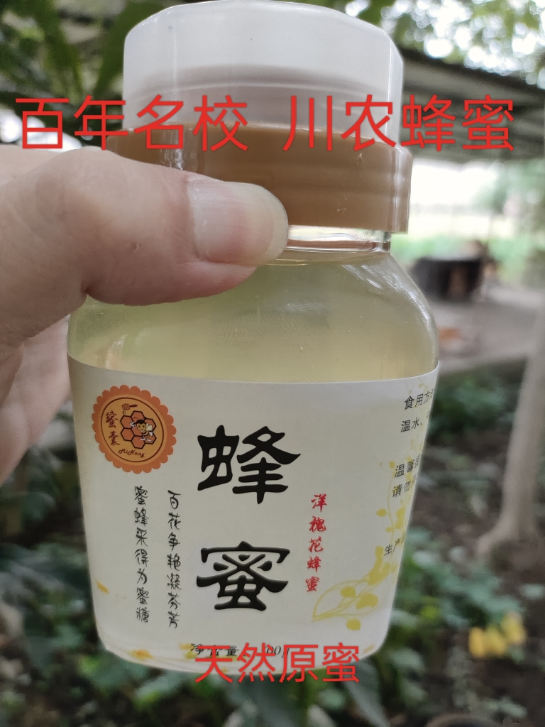 四川农业大学基地直营特产回流瓶农家水白洋槐花蜂蜜野成熟500g纯