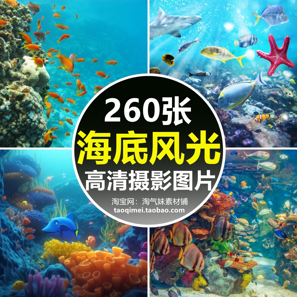 高清JPG海底世界图片深海洋水底生物珊瑚海龟鱼类水族馆摄影素材