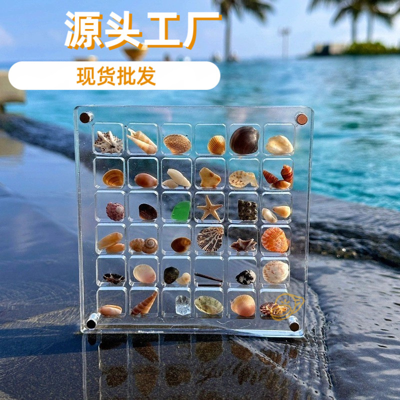 微型贝壳收纳盒亚克力透明海边微石头标本展示收藏磁力收纳相框架