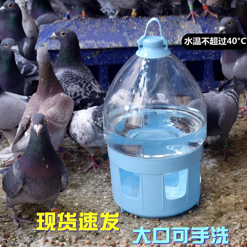 鸽子用品用具鸽具鸽用水壶喂水饮水器信鸽自动喝水壶大号加厚耐摔